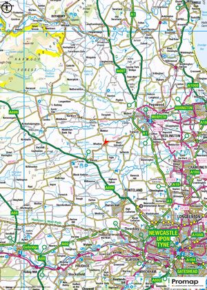 Photo 10- click for photo gallery